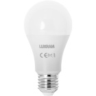 Light Bulb E27 (thick) GLS (standard) DURAMAX LED 10.5W 6400K 806lm -A+