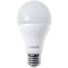 Bombilla E27 (grueso) GLS (standard) VALUE LED 20W 6400K 2000lm -A+