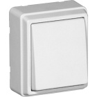 Doble Interruptor 3700 10AX 250 Vac en blanco