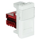 Module QUADRA45 with 1 RJ45 Cat. 6 UTP Connector (250 MHz) (1 module) in matte white