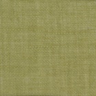 Tela CAMELOT PVC branco 0,3 148cm verde