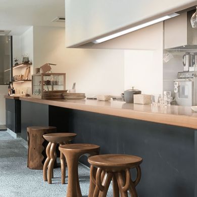 Armadura estanque LINESTA IP65 2xG13 T8 LED 60cm C.65,6xL.11,5xAlt.9,0cm cinzento