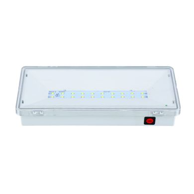 Emergency Light KALLUS mixed 1x4,5W LED 200lm 4000K L.23,5xW.10,5xH.3,6cm White