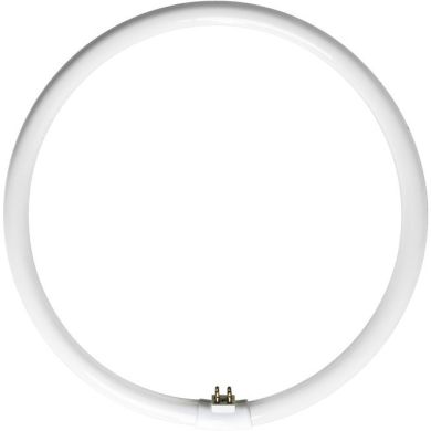 Lâmpada G10q T5 Circular 65W