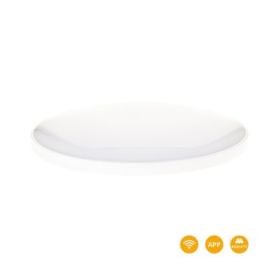 Ceiling light ALTER D.30cm 30W dimmable LED RGB+CCT (2700-6500K), APP, WIFI, Alexa, Google Assistant