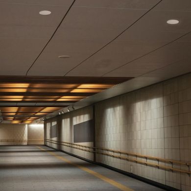 Real Presence Microwave Motion Sensor white IP65, detection angle 360º, in PC with UV protection