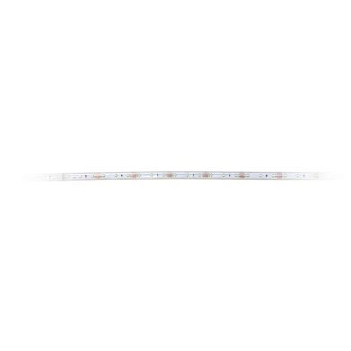 Fita LED SPUTNIK 12Vdc 4.5W/m 60LED/m 6500K IP68 5m/rolo