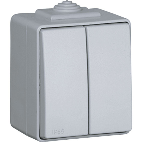 Doble Interruptor ESTANQUE48 10A 250Vac IP65 IK07 en gris