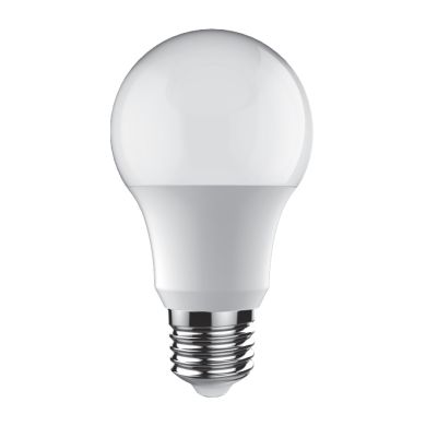 Light Bulb E27 (thick) GLS (standard) DURAMAX 15W 6400K 1521lm