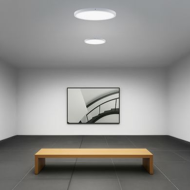 Panel de superficie ERASMUS redondo 24W LED CCT 3000/4000/6500K Al.2,4xD.30cm Blanco