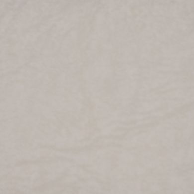 Tela BICHE tratada cor 00