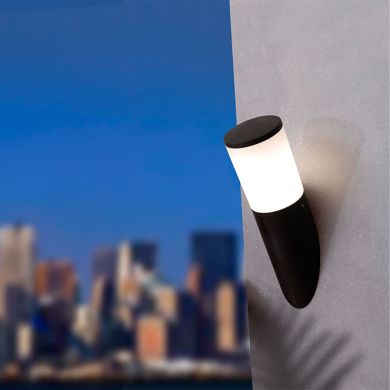 Wall Lamp AMELIA 1xE27 8,5W CCT (3colors) switch IP55 L.10xW.17xH.34cm black resin