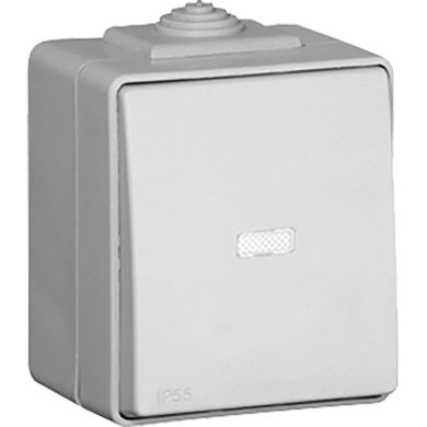 Pulsador Luminoso ESTANQUE48 10A 250Vac IP65 IK07 en gris