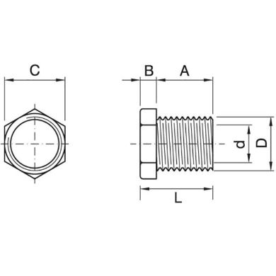 Tubo passa-cabos com cabeça hexagonal e rosca M10x1 de 10mm, em resina termoplástica branca