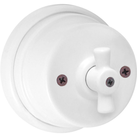 Interruptor PORCELAIN 10A 250V en porcelana blanco