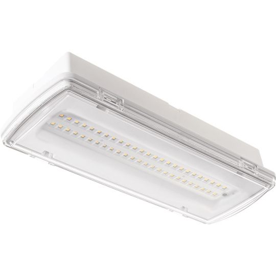 Emergency Light KALANI mixed IP65 1x4,4W LED 400lm 4000K L.27xW.10xH.5,4cm White